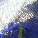 한터초등학교(병설) 이미지