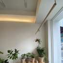 동글상회