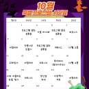 소망카센터 | 같이할개 반려견 유치원 후기