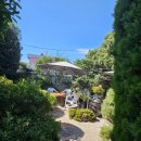 서원숯불구이 이미지