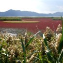 순천만그리고나 이미지