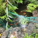 위미쉼팡 이미지