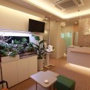 경희대화한의원 이미지