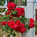 2025.05.17(토) 이미지