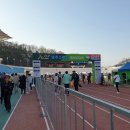 영주 소백산 마라톤대회 참가기 이미지