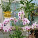 강가농장 이미지