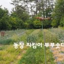 비야농장 이미지