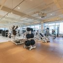 포짐 장기본점 이미지