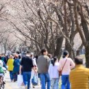 갈산식당 이미지