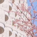 프린스호텔 이미지