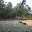 장항수산