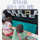 더 글라스 대인점 | 오키나와 부세나 해중공원 글라스보트 체험, 아이와 가기 좋은 곳