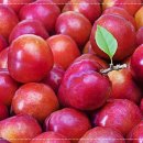 양재퍼스트정형외과의원 이미지