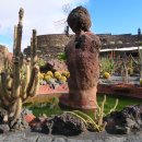 란사로테 이미지