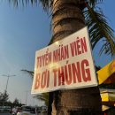 P-5K08 | [베트남] 파워 P들의 우당탕탕 다낭 3박 5일 자유여행 3일차 | 까로동, 바구니배, 호이안 야시장