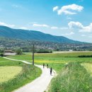 프로방스 이미지