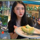 캠프스토리 Daum카페
