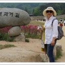 대동중학교 Daum카페