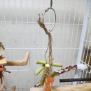 브리더스퀄리티 이미지