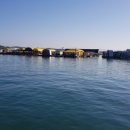 태극호좌대 이미지