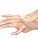 오케이병원 이미지