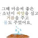 씨앗이야기 이미지