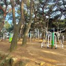 장무공원 화장실 이미지