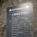 왕산로-6 | L65호텔웨딩컨벤션 | 2027년 상반기 견적공유 및 홀투어 후기 (가든홀, 컨벤션홀)🍀