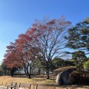 종로-종로-종로-종-364 | 청와대 관람후기 2편 [청와대 본관, 상춘재, 녹지원, 영빈관] 관람 해설 시간, 주차팁