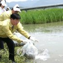 오수천2 이미지