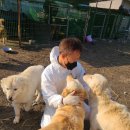 시온축산 이미지