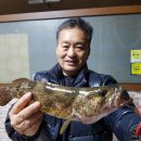 백련산방 티스토리
