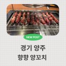 향향양꼬치본토요리 | 경기 양주 향향 양꼬치 본토요리 데이트 맛집 추천