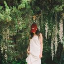 레인코어 이미지