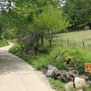 하늘마루염소목장 이미지