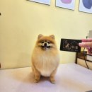 다산목욕탕 이미지