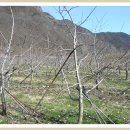 엘림농장 이미지