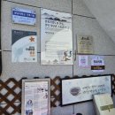 메밀꽃피면 이미지