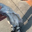 구곡주유소 이미지