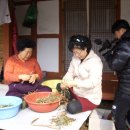 약이 되는 산야초 이미지