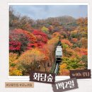 돌체당구장 | 경기도 광주 가볼만한 곳 _ 11월 곤지암리조트, 맛집추천, 화담숲여행 (1)