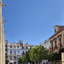 스페인 플라멩코 춤(야간반) | 세비야_세비야 대성당, 스페인 광장, 빠에야, 산타크루즈 지구, 플라멩코, 타파스