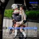 송설로L 네이버블로그