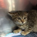 공덕119안전센터 이미지