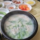 수백한상 | 수백한상 돼지국밥 - 부산에 왔으면, 돼지국밥을 :) 내돈내산 후기