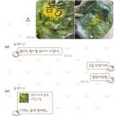 갈비가맛있다 | [2월 4주차] 때문에 아닌 덕분에