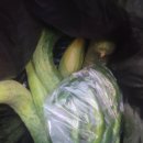 명화로 배우는 미술사 이미지