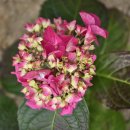 경기둘레길 안성42코스 이미지