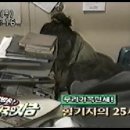 1992년 뉴스광장영상 (성북경찰서 강력2반장시절) 이미지