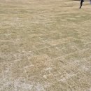 오산cc대대클럽 | [골프장 리뷰] 클럽모우 CC의 화려한 과거와 충격적인 2026년 현주소: "올해는 예약 버튼을 누르지 마세요"